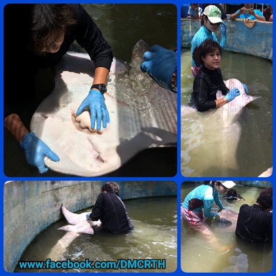 แชร์สนั่น ปลาประหลาดตกได้ที่ระยอง แท้งจริงคือ 