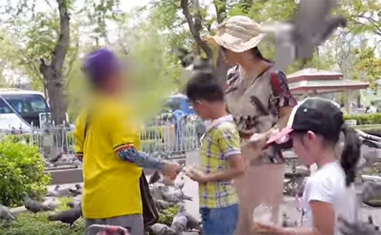 แก๊งยัดอาหารนก-หลอกนักท่องเที่ยว แถววัดพระแก้ว