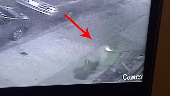 งงเลย หนุ่ม 2 คนนี้ต่อยกันนัวบนถนน แต่จู่ ๆ ก็กอดกันแล้วแยกย้ายเฉย