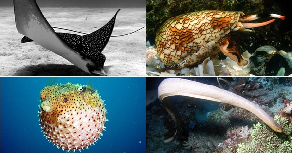 รู้ก่อนเที่ยวทะเล นี่คือ 