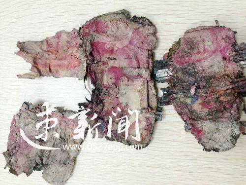 ชาวบ้านฝังเงินครึ่งล้านไว้ใต้ครัว 4 ปีผ่านไปกลายเป็นกระดาษเปื่อยยุ่ย