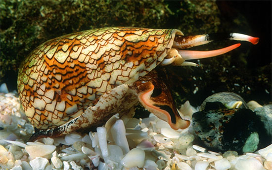 รู้ก่อนเที่ยวทะเล นี่คือ 