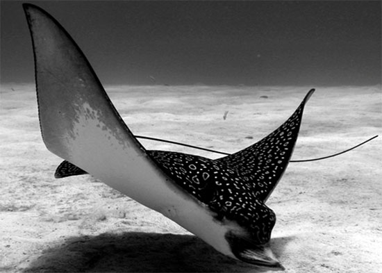 รู้ก่อนเที่ยวทะเล นี่คือ 