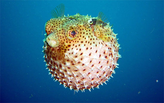 รู้ก่อนเที่ยวทะเล นี่คือ 