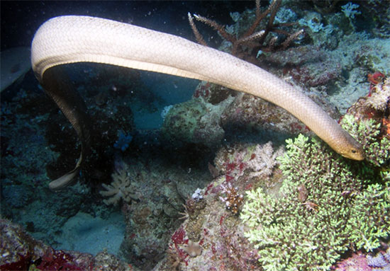 รู้ก่อนเที่ยวทะเล นี่คือ 