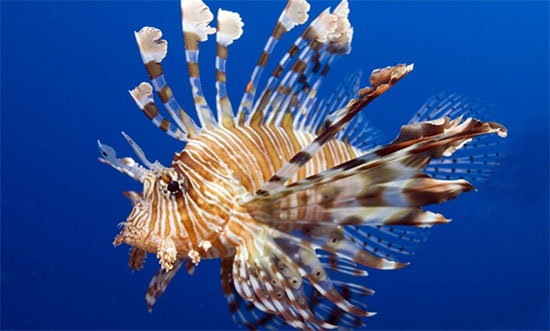 รู้ก่อนเที่ยวทะเล นี่คือ 