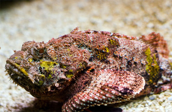 รู้ก่อนเที่ยวทะเล นี่คือ 