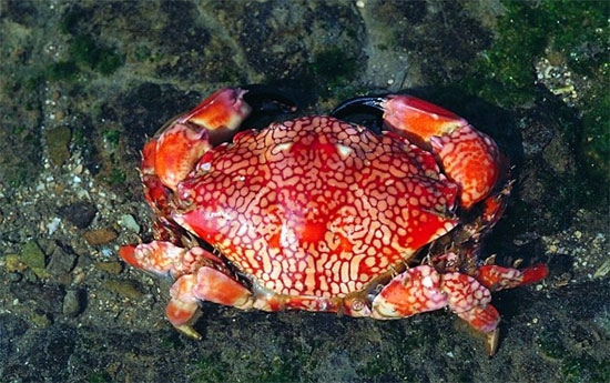 รู้ก่อนเที่ยวทะเล นี่คือ 