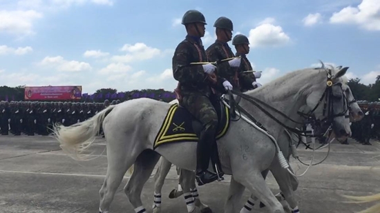 สวนสนามยิ่งใหญ่ เทิดพระเกียรติสูงสุด 