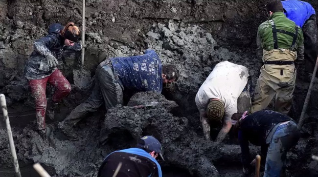 ฮือฮา ชาวไร่พบซากแมมมอธโบราณ อายุกว่า 15,000 ปี !