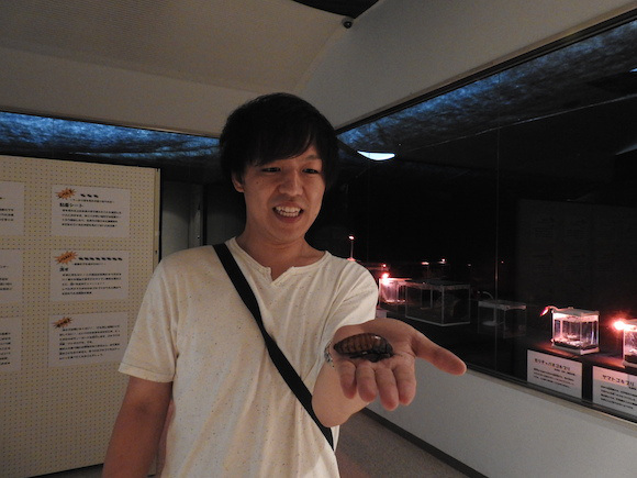 พาทัวร์นิทรรศการแมลงสาบที่ญี่ปุ่น