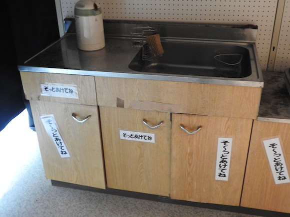 พาทัวร์นิทรรศการแมลงสาบที่ญี่ปุ่น