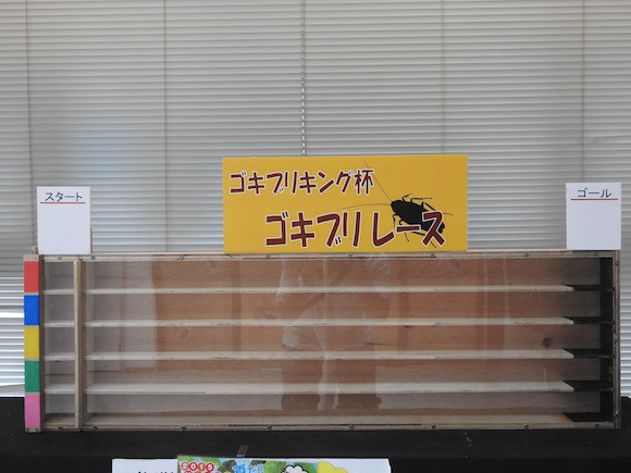 พาทัวร์นิทรรศการแมลงสาบที่ญี่ปุ่น