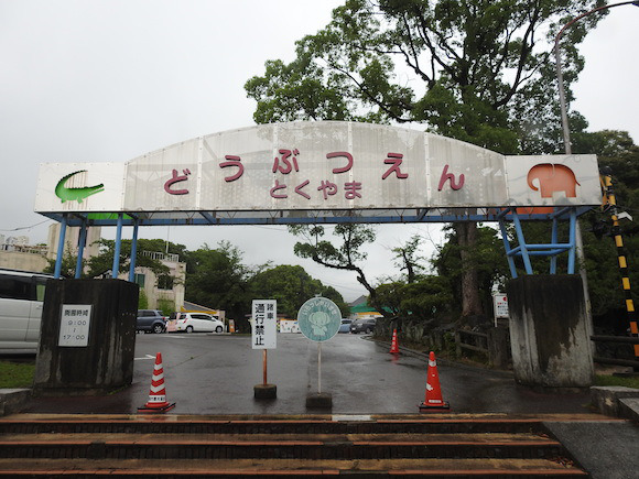 พาทัวร์นิทรรศการแมลงสาบที่ญี่ปุ่น