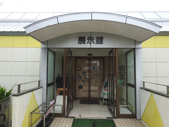 พาทัวร์นิทรรศการแมลงสาบที่ญี่ปุ่น