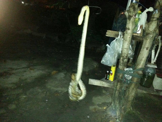 รอดหวุดหวิด แม่ช่วยลูกชายขณะงูเหลือมกำลังเขมือบอยู่บนเตียงกลางดึก