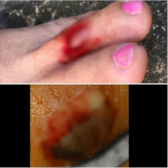 แห่ขอความเป็นธรรมให้ 