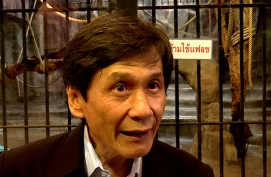 สวนสัตว์พาต้า ขอเวลาอีก 5 ปี ย้ายกอริลลาบัวน้อยลงพื้นดิน