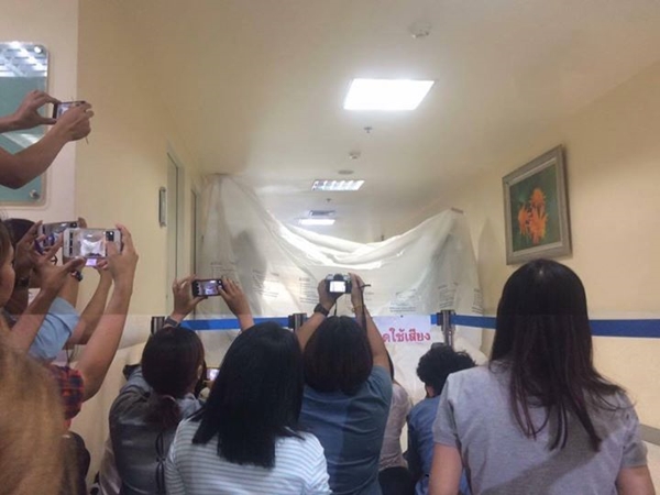 ชาวเน็ตแซะ 