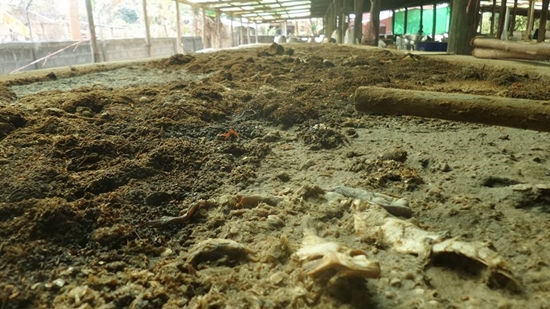 โรงงานน้ำปลาร้า กาฬสินธุ์ แจงถูกจับเรื่องไม่ อย. ไม่เกี่ยวการหมักน้ำปลาร้า