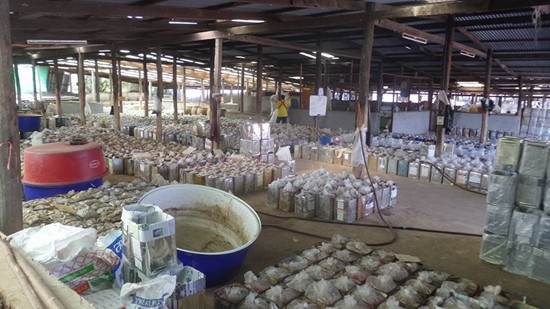 โรงงานน้ำปลาร้า กาฬสินธุ์ แจงถูกจับเรื่องไม่ อย. ไม่เกี่ยวการหมักน้ำปลาร้าโรงงานน้ำปลาร้า กาฬสินธุ์ แจงถูกจับเรื่องไม่ อย. ไม่เกี่ยวการหมักน้ำปลาร้า