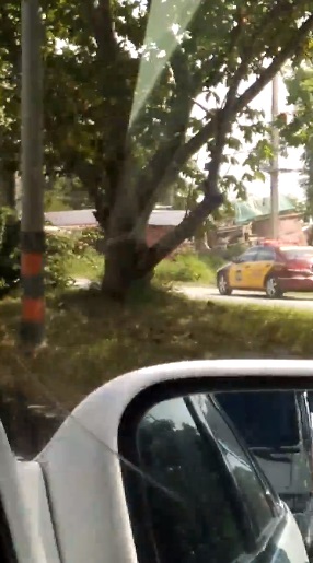 เปิดคลิปรถตำรวจทางหลวงขับย้อนศร หนีรถติด  ทำเอาชาวเน็ตเสียงแตก 