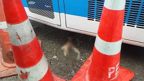 สลดใจ ! แม่ใจร้าย ทิ้งซากลูกทารกไว้ในห้องน้ำรถทัวร์ 3 วันจนศพเน่า