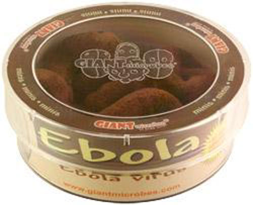 บริษัทมะกันเกาะกระแส ผลิตตุ๊กตาอีโบลา ขายดีสุด ๆ