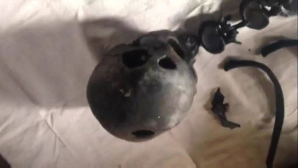 ช่างซ่อมรถสยอง เจอโครงกระดูกคนซุกบ่อปลาดุกที่เลี้ยงไว้