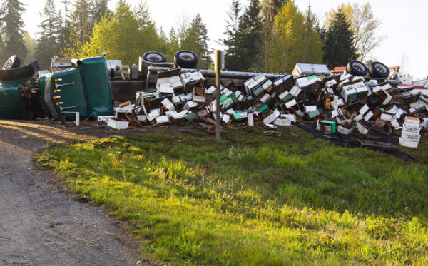 สยองเลย รถบรรทุกผึ้งเทกระจาดบนถนน แตกฮือกว่า 14 ล้านตัว