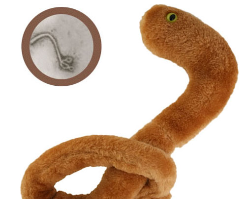 บริษัทมะกันเกาะกระแส ผลิตตุ๊กตาอีโบลา ขายดีสุด ๆ