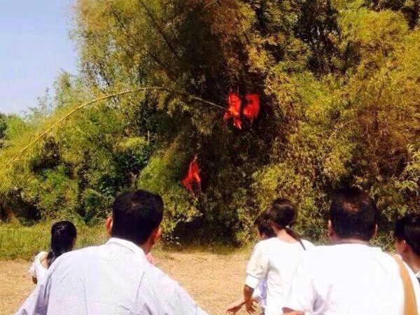 แชร์กันทั้งบาง ! ภาพหลวงพี่ติดบนต้นไผ่ เฉลยแล้วขึ้นไปทำอะไร