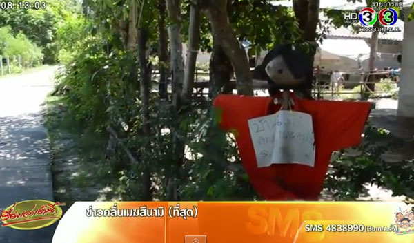 ผวาวิญญาณร้าย ! ชาวบ้านแห่ปักหุ่นหน้าบ้าน หลังตายปริศนานับสิบราย