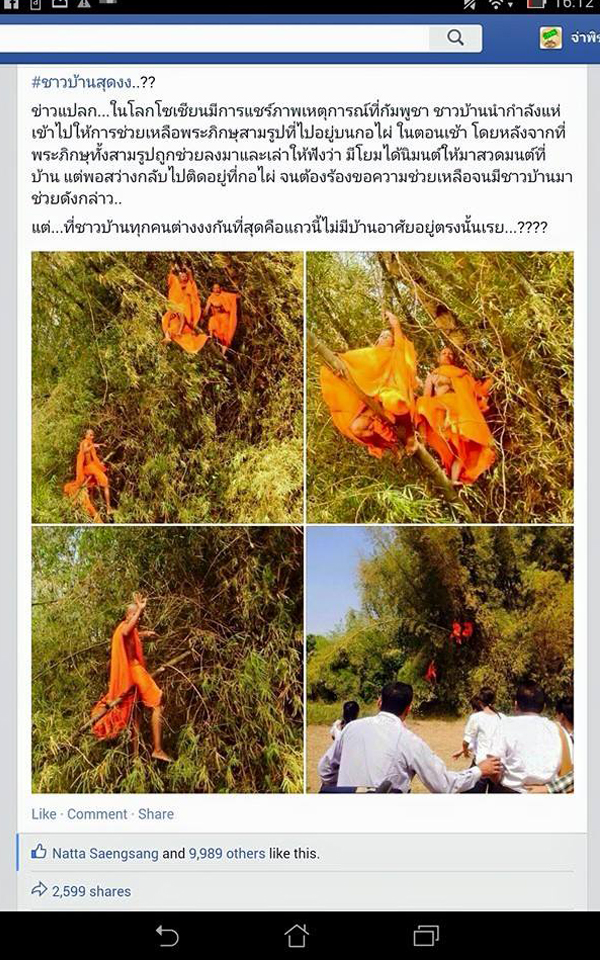 แชร์กันทั้งบาง ! ภาพหลวงพี่ติดบนต้นไผ่ เฉลยแล้วขึ้นไปทำอะไรแชร์กันทั้งบาง ! ภาพหลวงพี่ติดบนต้นไผ่ เฉลยแล้วขึ้นไปทำอะไร