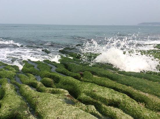 ดราม่าข้ามประเทศ 