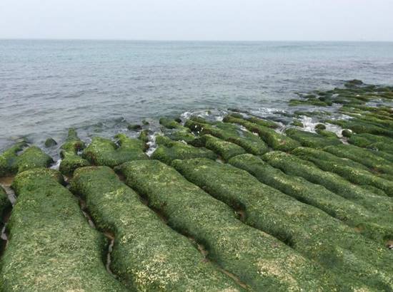 ดราม่าข้ามประเทศ 