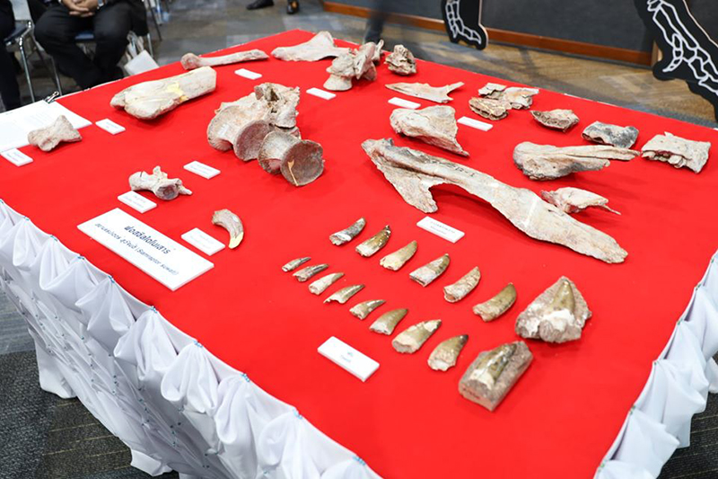 ไดโนเสาร์