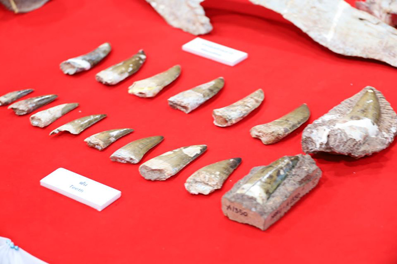 ไดโนเสาร์