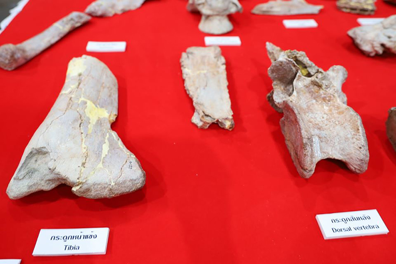 ไดโนเสาร์