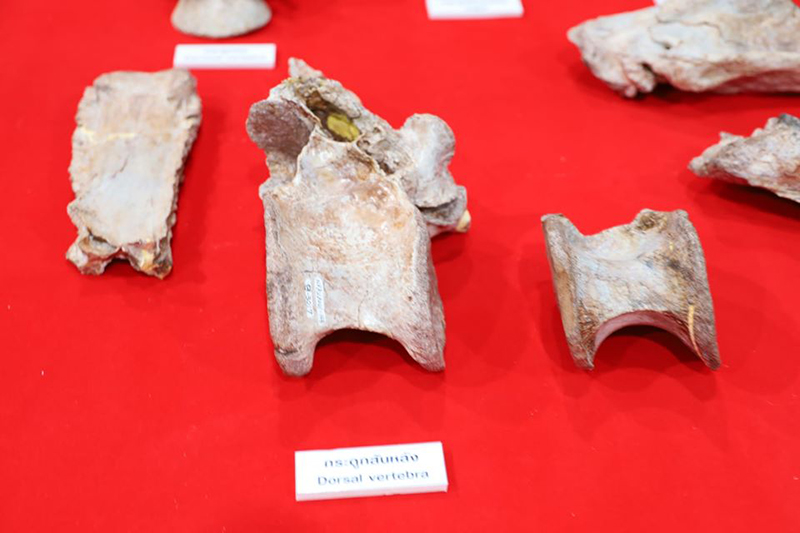 ไดโนเสาร์