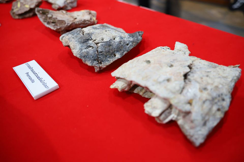 ไดโนเสาร์