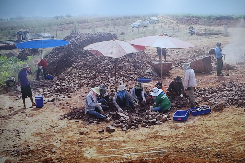 ไดโนเสาร์