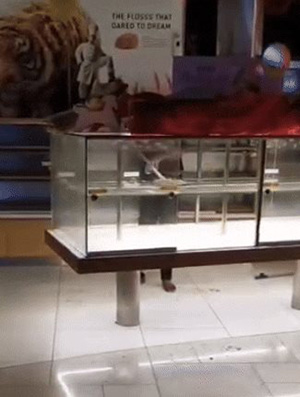 ร้านเบเกอรี่ดัง ใช้ไม้กวาดในตู้ขนม