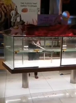 ร้านเบเกอรี่ดัง ใช้ไม้กวาดในตู้ขนม