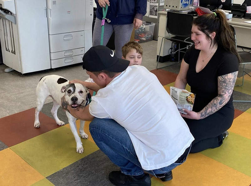 สุนัขถูกขโมย