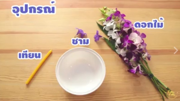 กระทงน้ำแข็ง