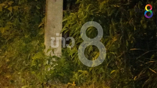 ข่าวภาคใต้ ระเบิด ภาคใต้ 9