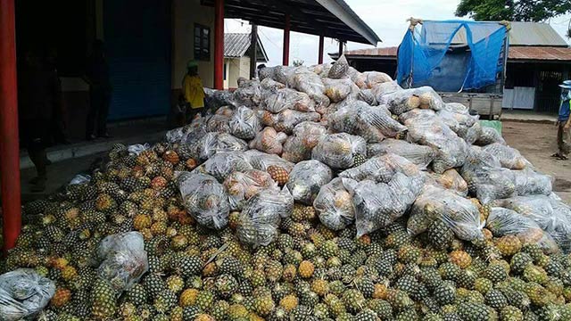 กรมพัฒนาที่ดิน รับซื้อสับปะรดเกษตรกร 305 ตัน ผลิตน้ำหมักชีวภาพ พด.2 ...