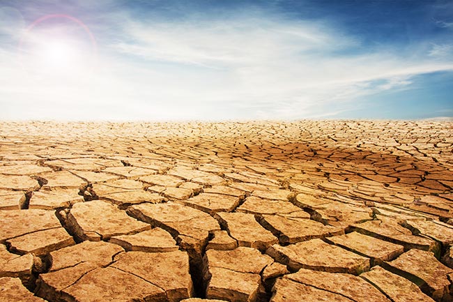 วันต่อต้านปัญหาภัยแล้งและฝนแล้งของโลก ตรงกับวันที่ 17 มิ.ย. ของทุกปี