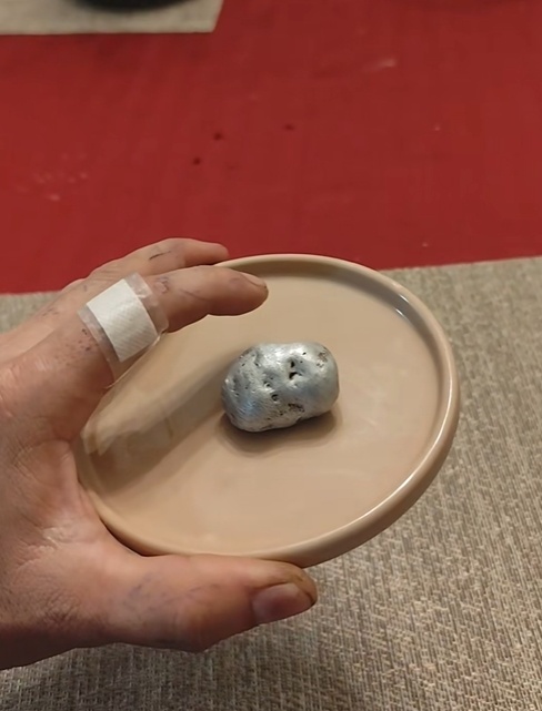 ไวรัลฮือฮา หนวดประหลาดงอกจากหินอุกกาบาต